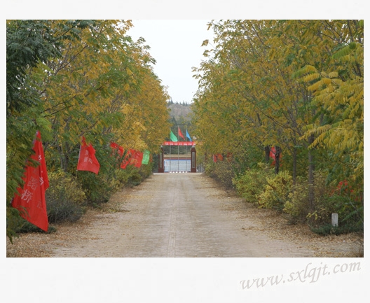 ������Ե-�ٷ���վ - ��ҳ