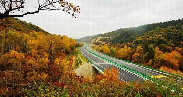 ������Ե-�ٷ���վ - ��ҳ