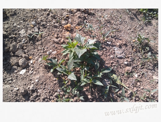 ������Ե-�ٷ���վ - ��ҳ