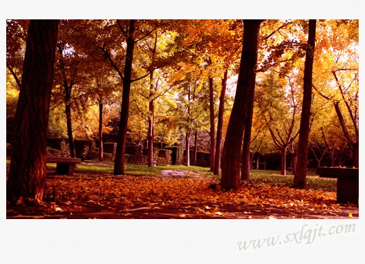 ������Ե-�ٷ���վ - ��ҳ