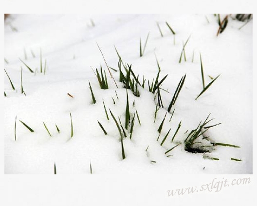 ������Ե-�ٷ���վ - ��ҳ