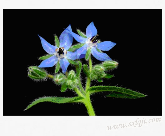 ������Ե-�ٷ���վ - ��ҳ