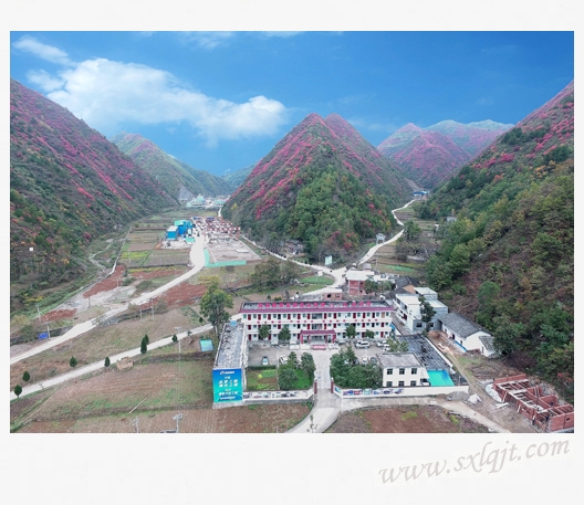 ������Ե-�ٷ���վ - ��ҳ