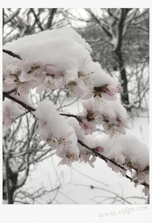 ������Ե-�ٷ���վ - ��ҳ