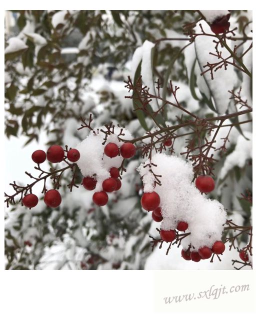 ������Ե-�ٷ���վ - ��ҳ