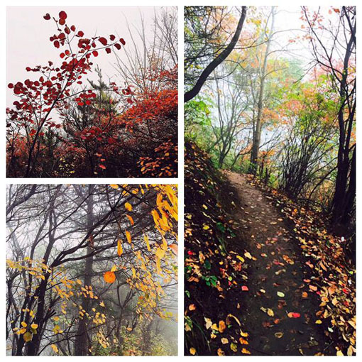 ������Ե-�ٷ���վ - ��ҳ