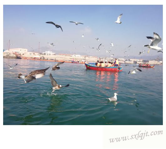 ������Ե-�ٷ���վ - ��ҳ