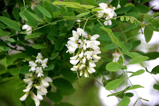 ������Ե-�ٷ���վ - ��ҳ