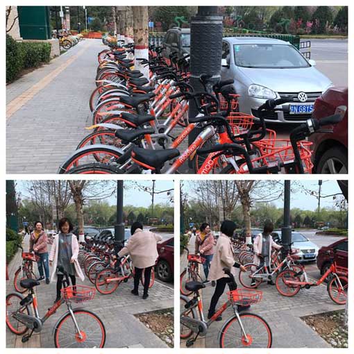 ������Ե-�ٷ���վ - ��ҳ