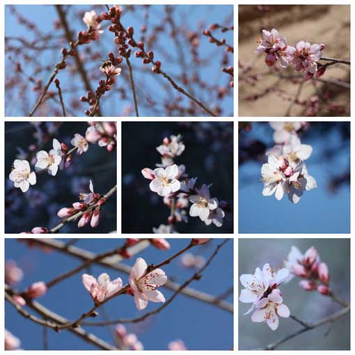 ������Ե-�ٷ���վ - ��ҳ