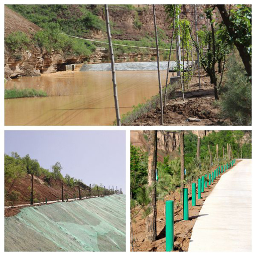 ������Ե-�ٷ���վ - ��ҳ