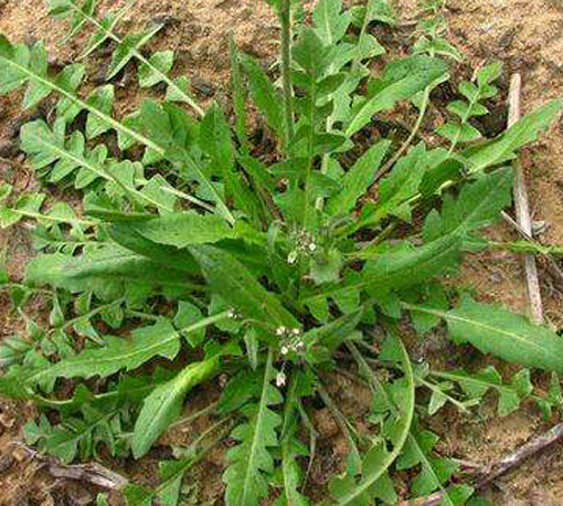 ������Ե-�ٷ���վ - ��ҳ