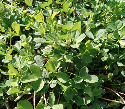 ������Ե-�ٷ���վ - ��ҳ