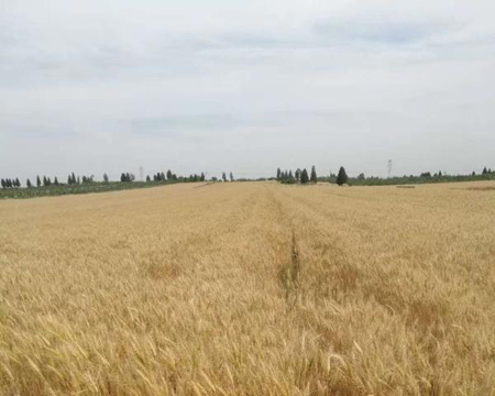 ������Ե-�ٷ���վ - ��ҳ