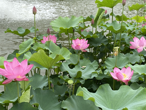 ������Ե-�ٷ���վ - ��ҳ