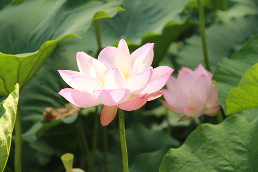 ������Ե-�ٷ���վ - ��ҳ