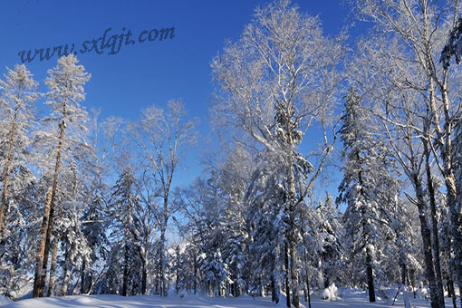 ������Ե-�ٷ���վ - ��ҳ