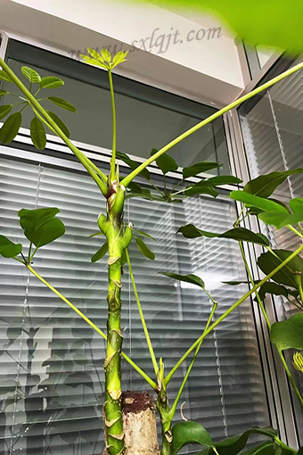 ������Ե-�ٷ���վ - ��ҳ