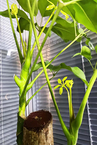 ������Ե-�ٷ���վ - ��ҳ