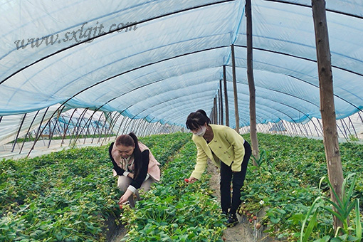 ������Ե-�ٷ���վ - ��ҳ