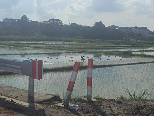 ������Ե-�ٷ���վ - ��ҳ